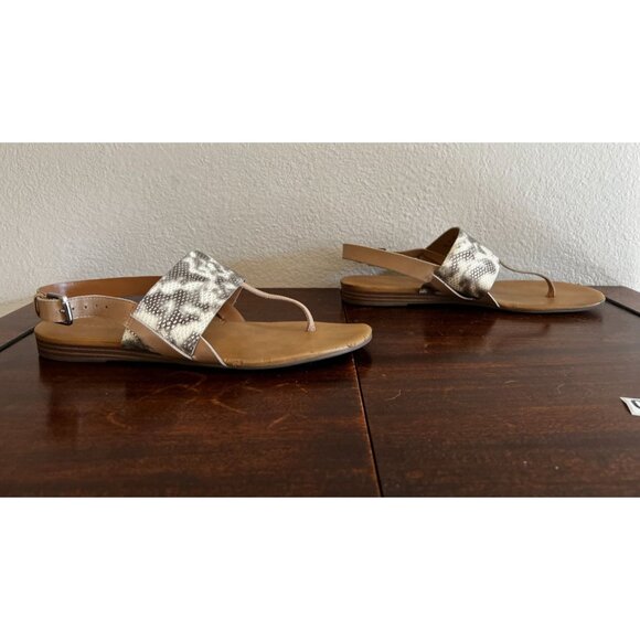 Franco Sarto Womens Snakeskin Print Sandals 9M Slingback Buckle Strap Open Toe D - Picture 2 of 10